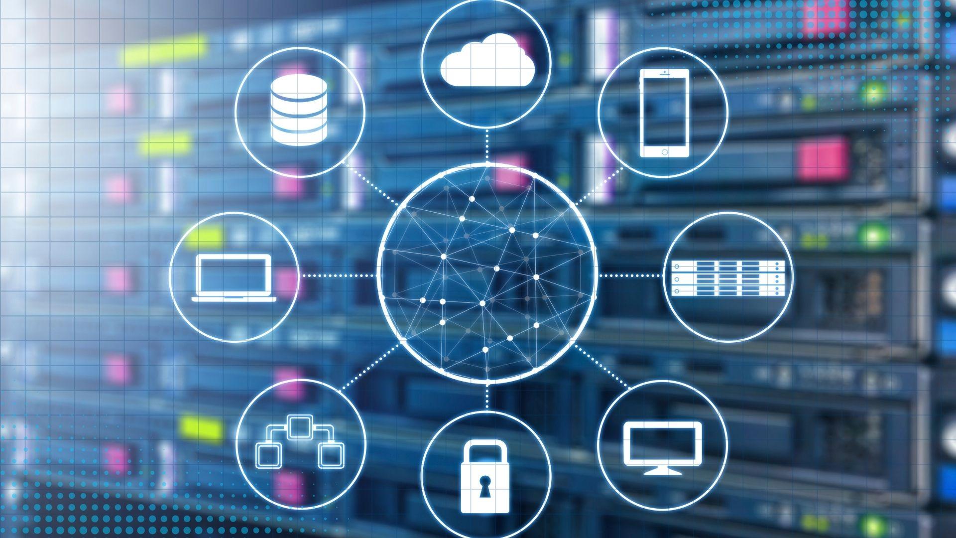 Authority Growth Dashboard